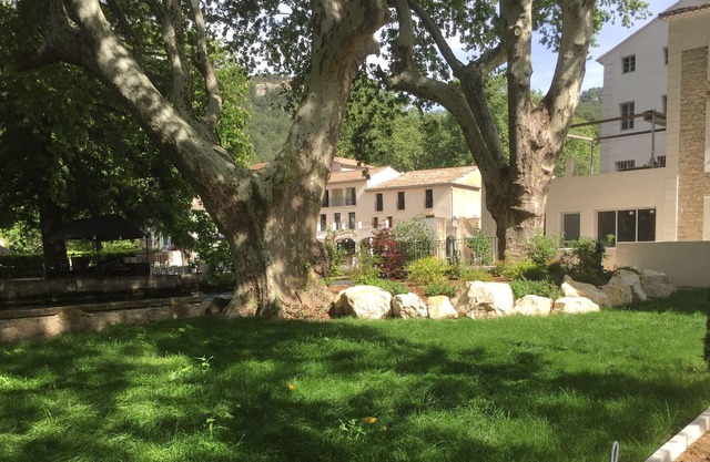 Small nest in a wooded park with a parking space