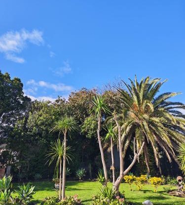 Somerset west Stay 1