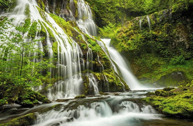 Spacious extended-stay hotel near Portland - Lake Oswego