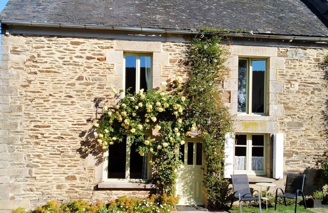 Spacious House, Cosy Accommodation. Log stove. Countryside forest river walks.
