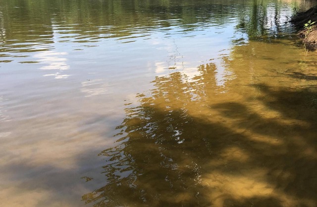 Spacious Riverfront! 3 Miles Opryland, 10 Min Downtown Nashville