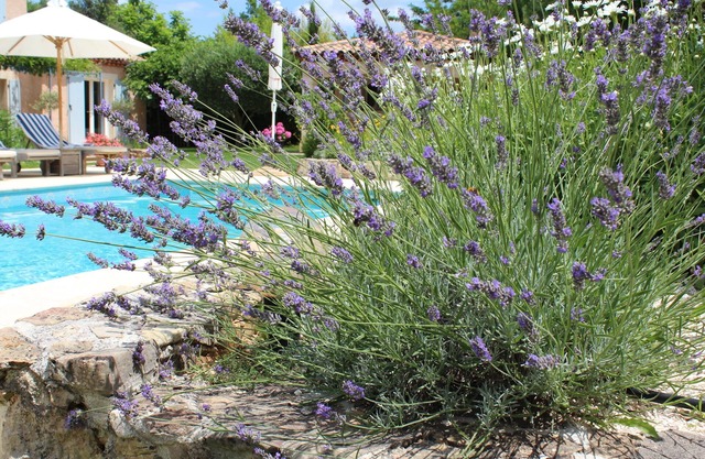 Spacious villa comfortable 200 m2 with swimming pool