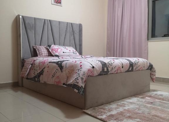 Specious Beautiful Apartment and Rooms