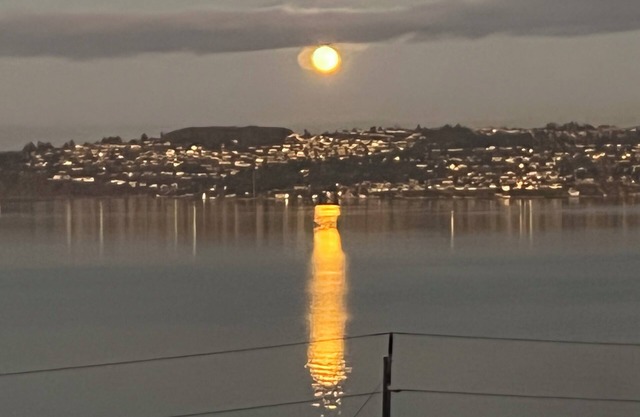 Spectacular views! Cozy 1-bed/1-Bath Apartment with WiFi & AC in charming Tacoma