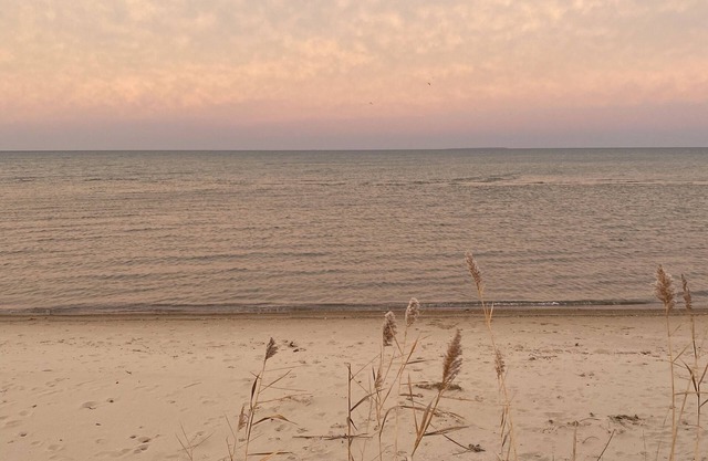 Spend time in the Sun and Sand at Cozy Cottage of Caseville.