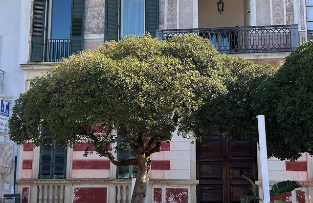 Splendida Casa sul Mare, in Pieno Centro