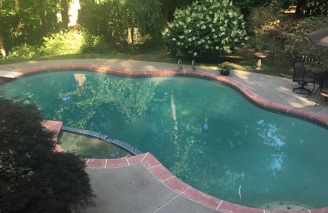 Splendor-in-the-Woods 5-StarGardenApt Patio & Pool 6Guests LongStays Commercial