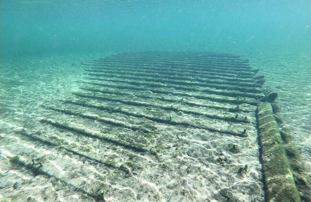 Spring Diving Capital . Walk to Ruth Springs and 1 mile from Troy .