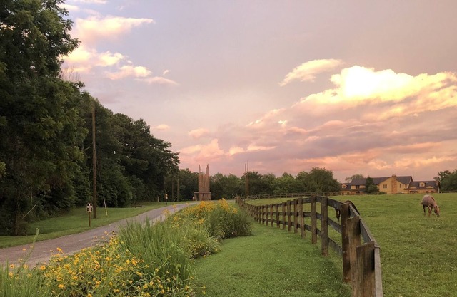 St. Noel Cypress Room at Camp Ondessonk
