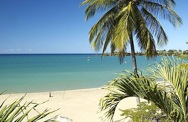 Starfish Tobago Resort