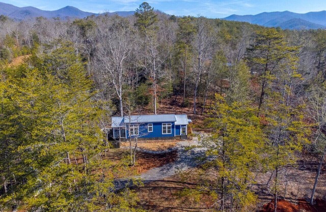 Starry, Starry Night