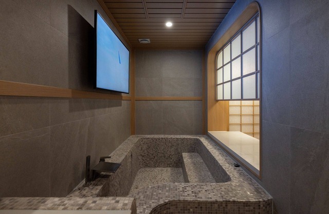 Stay Passport Airplane Guri