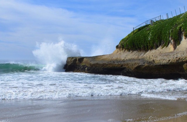 Steps to Sunny Cove Beach! Boardwalk, WiFi, Starbucks, Restaurants, Family Fun!