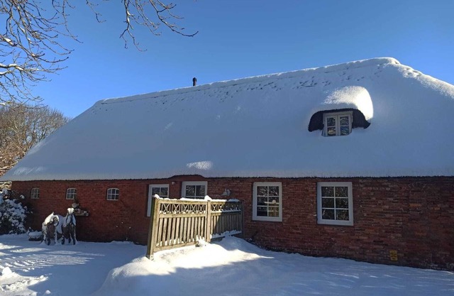 Studio Apartment 'Ferienwohnung Blauer Leuchtturm' with Private Terrace, Private Garden and Wi-Fi