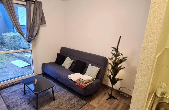 Studio avec terrasse et wifi a Strasbourg