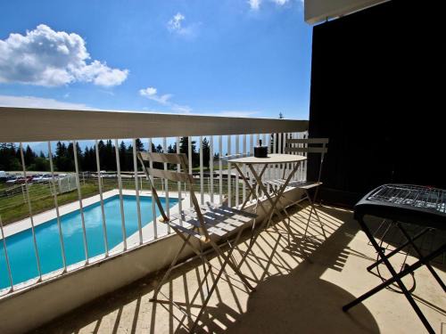 Studio cabine 27m², sud, pied des pistes, balcon, piscine été, animaux OK - FR-1-549-48