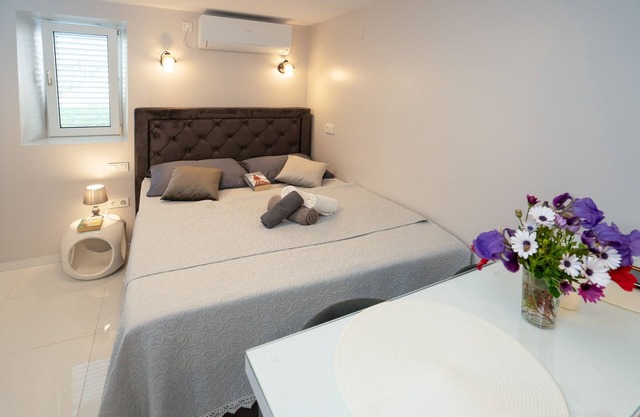 Studio flat with air-conditioning Poljana, Ugljan (AS-8419-b)