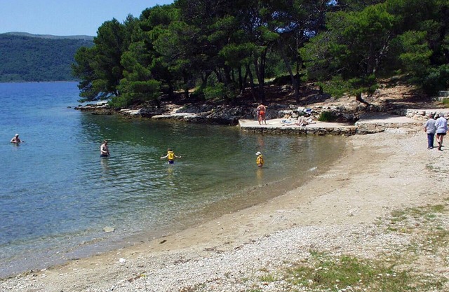 Studio flat with balcony Stari Grad, Hvar (AS-5730-a)