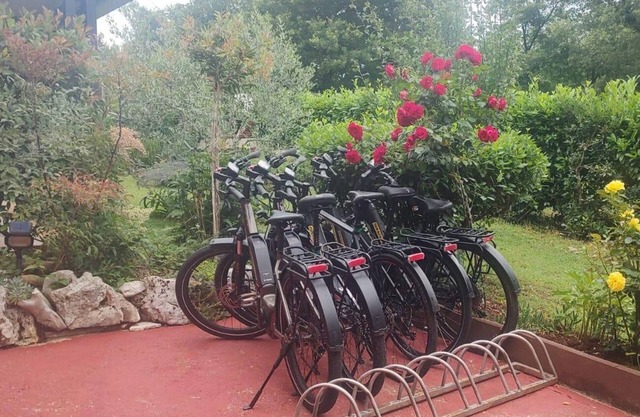 Studio flat with balcony Fiorini, Novigrad (AS-6926-c)