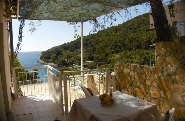 Studio flat with terrace and sea view Cove Saplunara, Mljet (AS-12849-a)