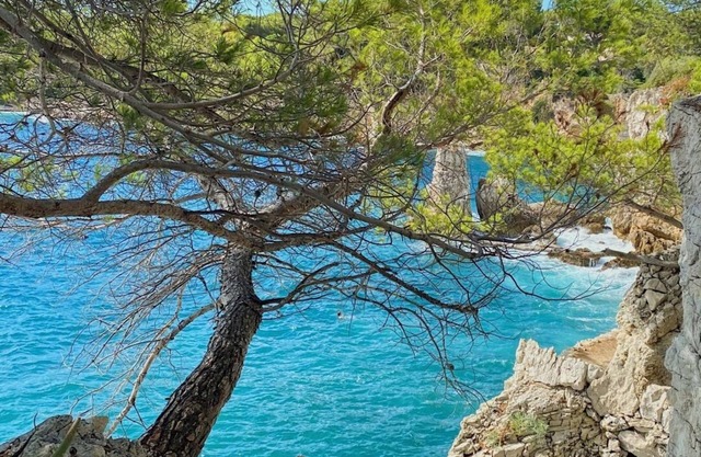 Studio not overlooked: Sea-Mountains-Gardens View
