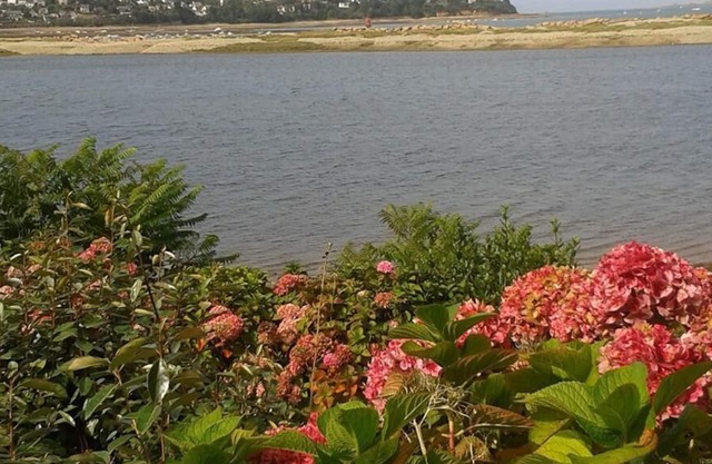 Studio-Private Bathroom-Sea view-Tomé