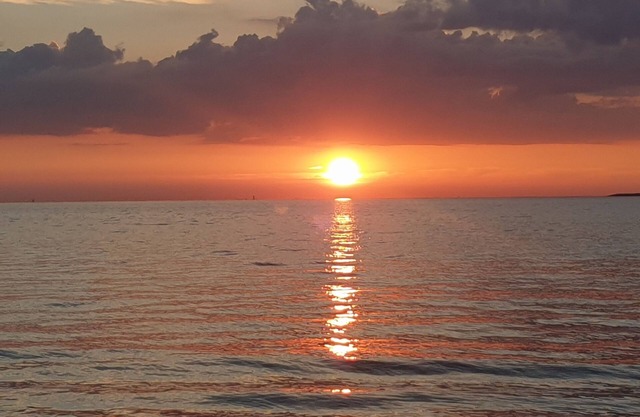 Studio Récent Pour 3 ou 4 Personnes