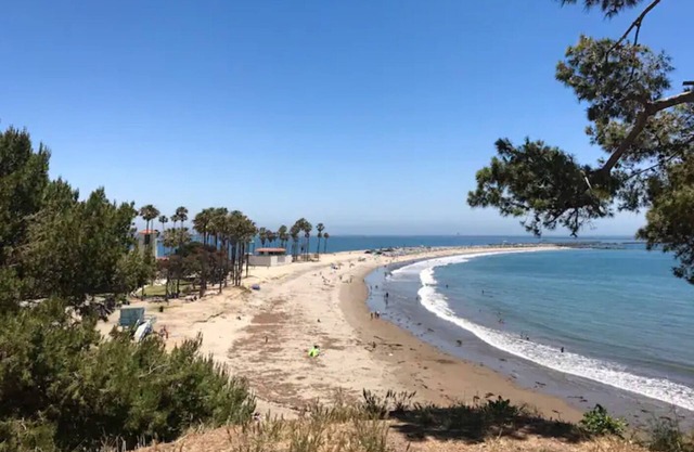 Studio Suite Beachside! Parking. Laundry! Bay View