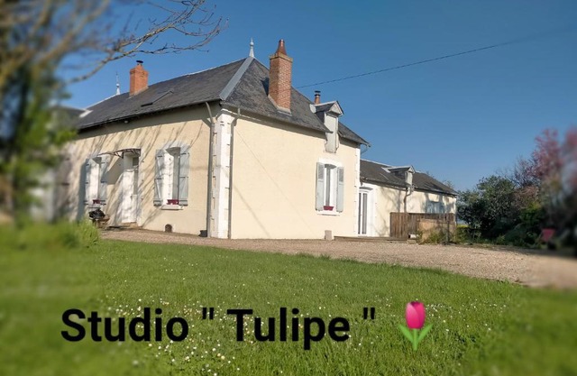 studio 'tulipe' dans le Berry