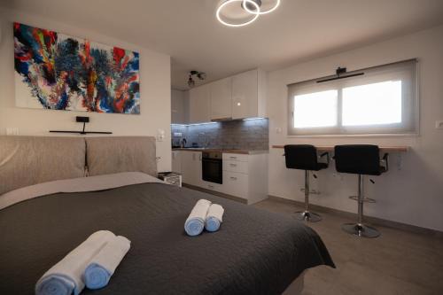 Studio with panoramic Athens view