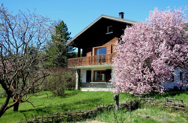 STUDIO with wooden terrace in chalet