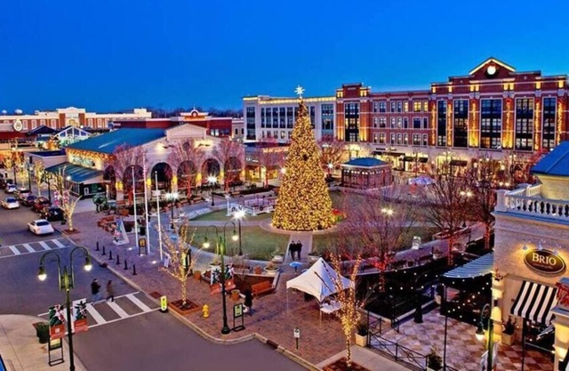 Stunning 4 BR Home @ The Greene | Top Neighborhood