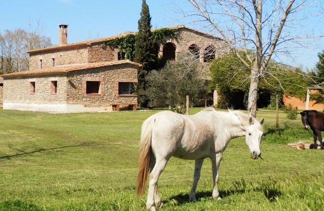 Stunning property isolated, surrounded by nature, 5 min to beaches. Max privacy.