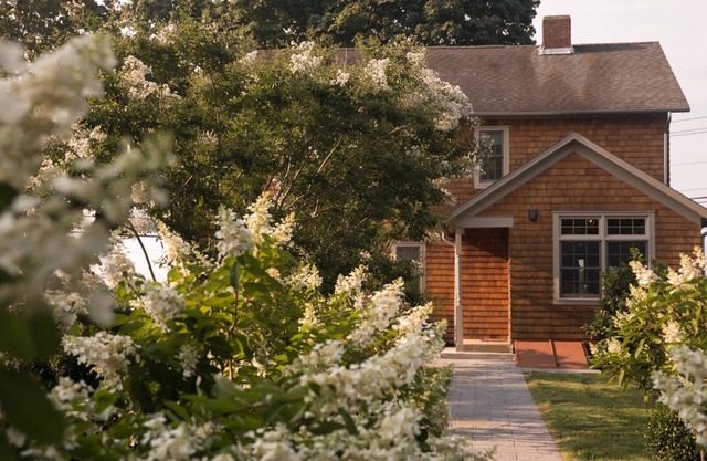 Stylish and Rustic Decor, Vineyard Tours, Tasting Room