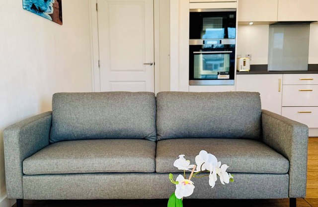 stylish apartment in zone 2