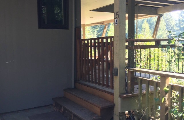 Sun Drenched pool, Private, Peaceful Home, Nestled at the Base of Mt. Tam