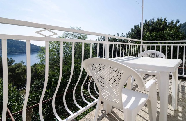 Sunny apartment on Mljet island 1