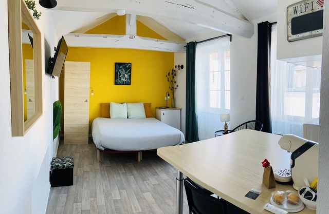 Superb studio jungle downtown Gannat.
