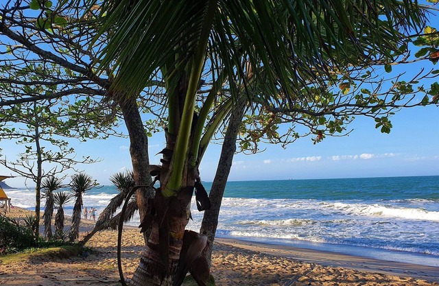 Surfside Luxury - Nautilus Home Club - Penha - SC