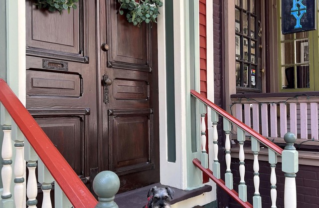 Swiss Suite in Downtown JT Near Opera House with Parking. Dog Friendly-Check 1st