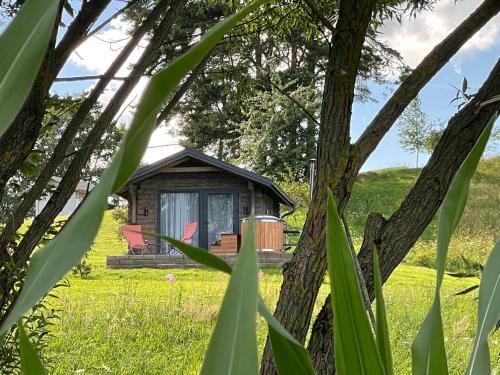 Szarejkowy GLAMP