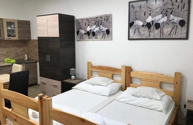 Tó-Party Apartman