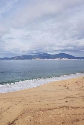 T1 bis climatimatisé -Agosta Plage- 10 min à pied