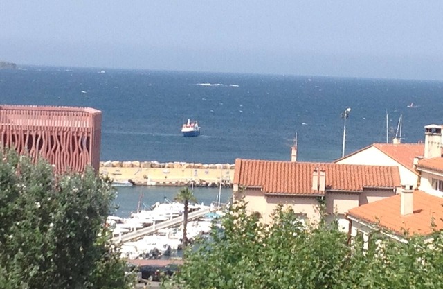 T2 AIR-CONDITIONED WITH SEA VIEW TERRACE + PARKING IN BANYULS