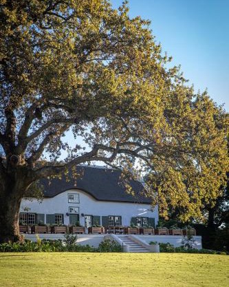 Taaibosch Collection