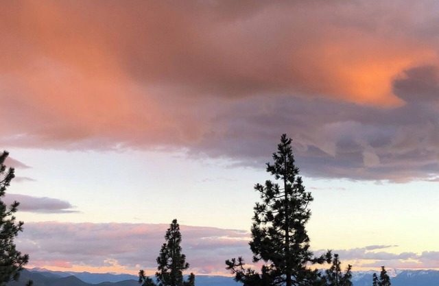 Tahoe Chaparral