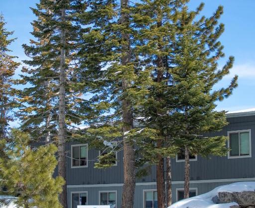 Tahoe Trail Resort