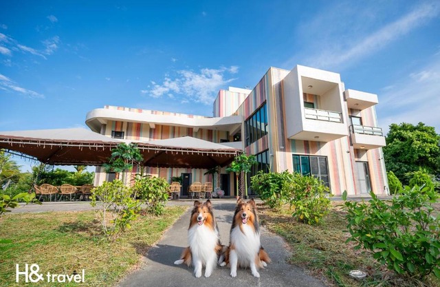 Taitung Rainbow Pet Friendly Maison Resort