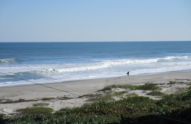 Take me to the Ocean