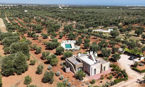 TD Torretta Macramè amid the Mediterranean scrub